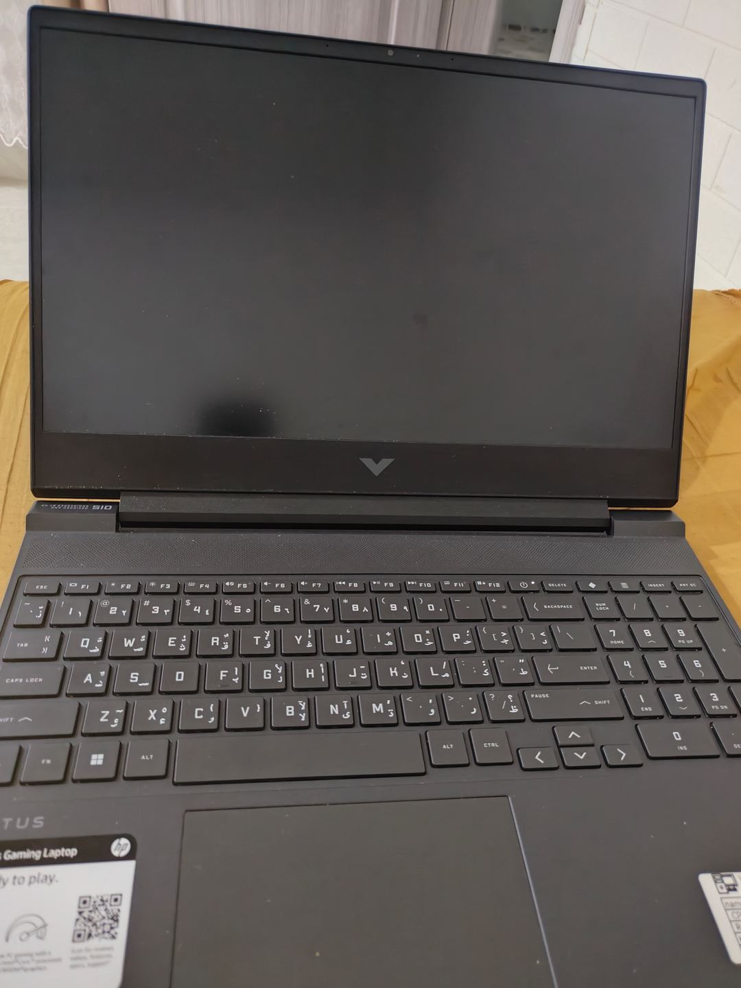 HP HP Victus 15 · ryzen 5 8645HS 3