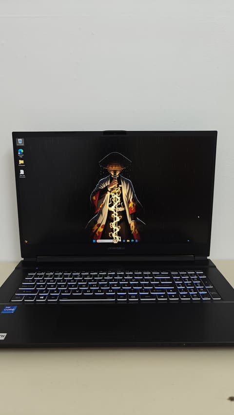 Other TOPOSH Gaming Laptop · Core i7 - 11800H